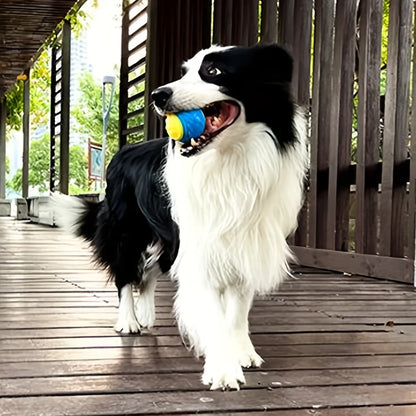 Squeak & Clean Dog Chew Ball