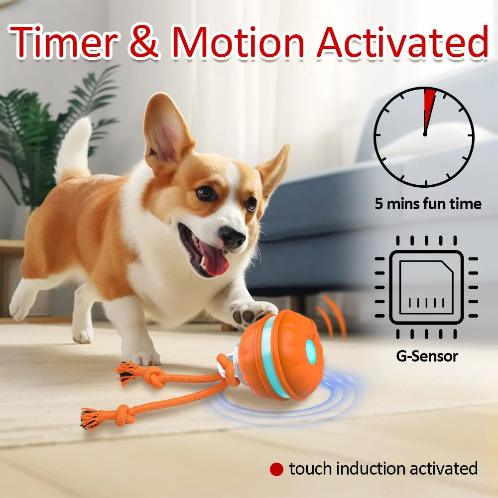 MightyChewy Interactive Motion Ball