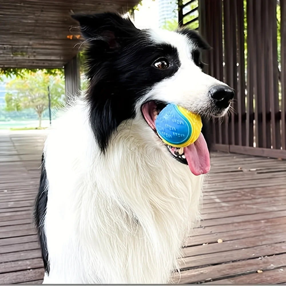 Squeak & Clean Dog Chew Ball