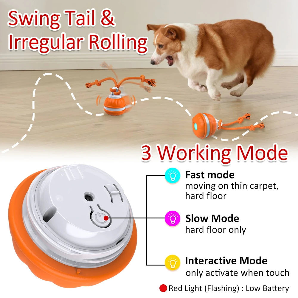 MightyChewy Interactive Motion Ball